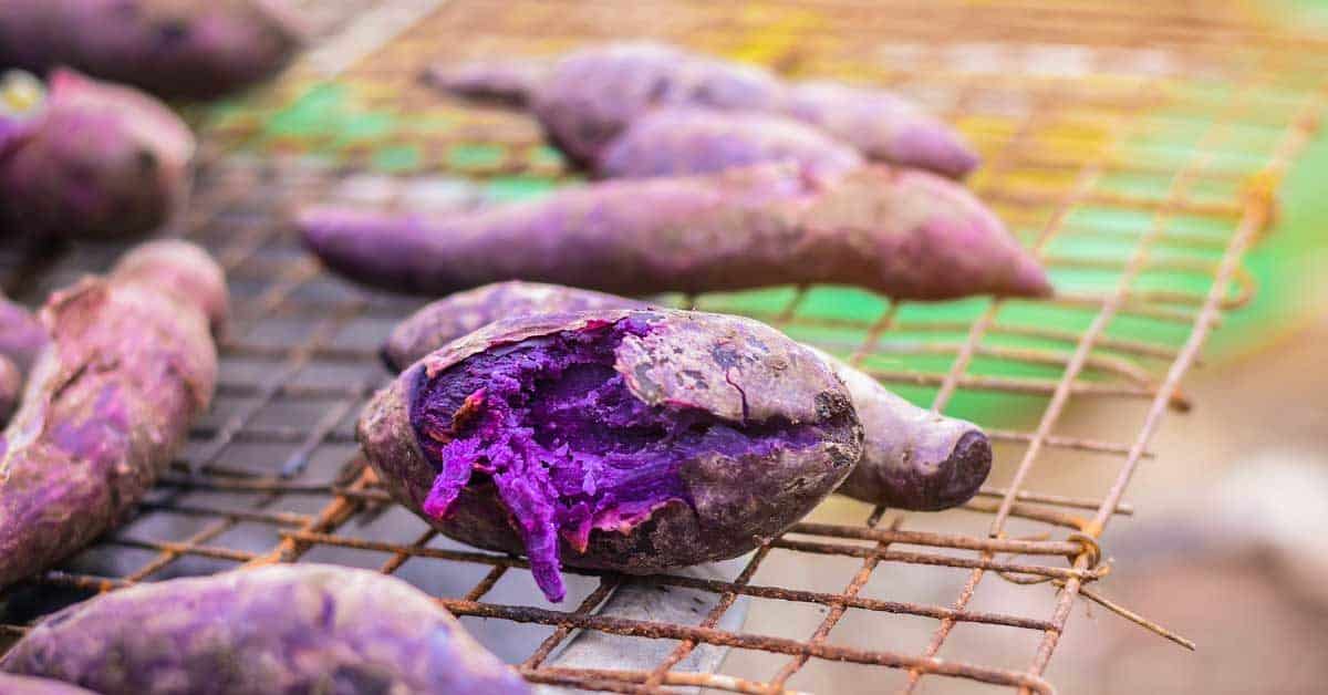 Read more about the article How to Grow Ube at Home?